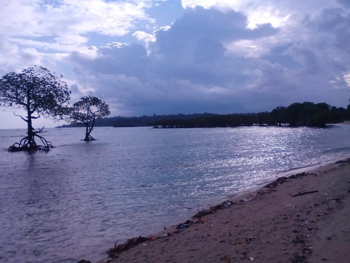 Coconhuts Beach Resort Lakshmanpur Exterior foto